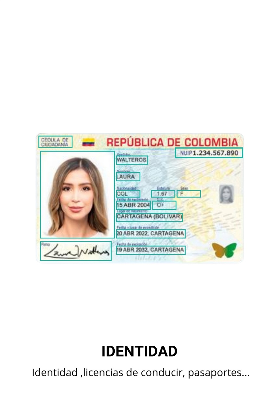 Visual example of an identity document for personal data extraction